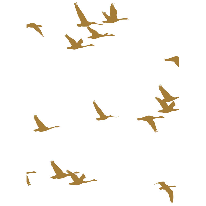 Papier peint adhésif Soaring Birds, L 108 po x l 96 po, Or