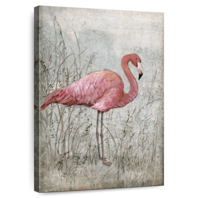 Flamant rose Brampt I