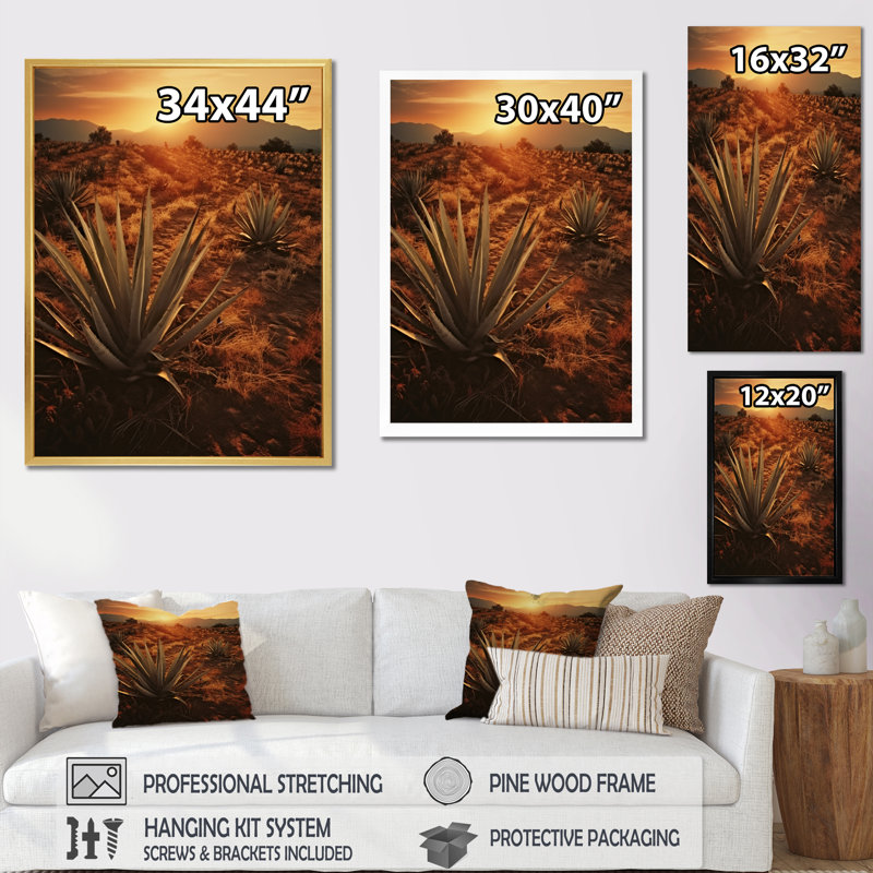 Succulent Field au Texas, Cadre simple blanc, H 40 po x l 30 po x P 1,5 po