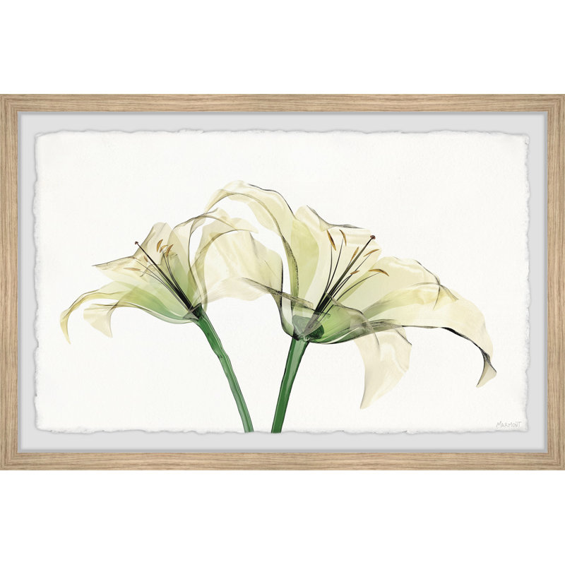 Never Grow Old by Marmont Hill - Single Picture Frame Painting, 38cm H x 45cm W
