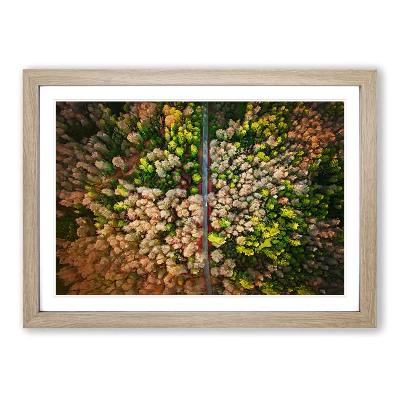 Separating the Forest - Picture Frame Graphic Art Print, Oak, 60cm H x 91cm W x 2cm D