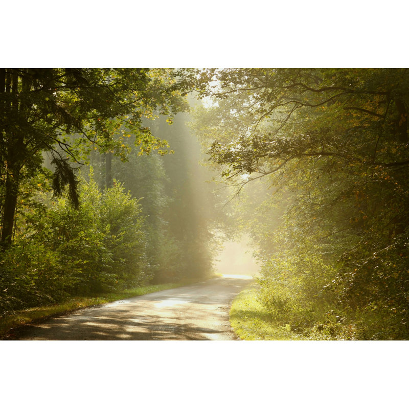 Country Road Through Forest at Sunrise - Photographie sur toile tendue, H 8 po x l 12 po x P 1,25 po
