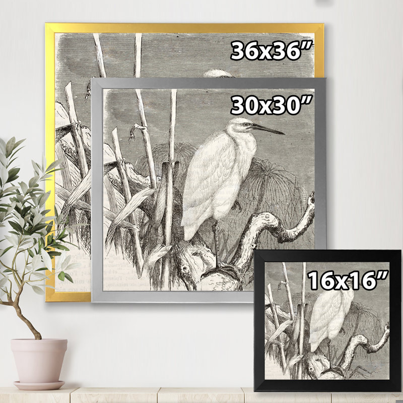 «Little Egret Bird», reproduction de cadre photo sur toile, Cadre noir, H 30 po x l 30 po x P 1 po