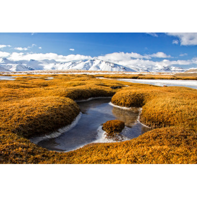 Amazing Winter Landscape - Wrapped Canvas Print