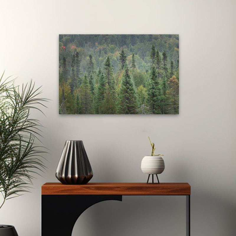Rustic and Modern Rustic Superior National Forest I, H 24 po x l 16 po