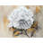 White Peony Print On Canvas