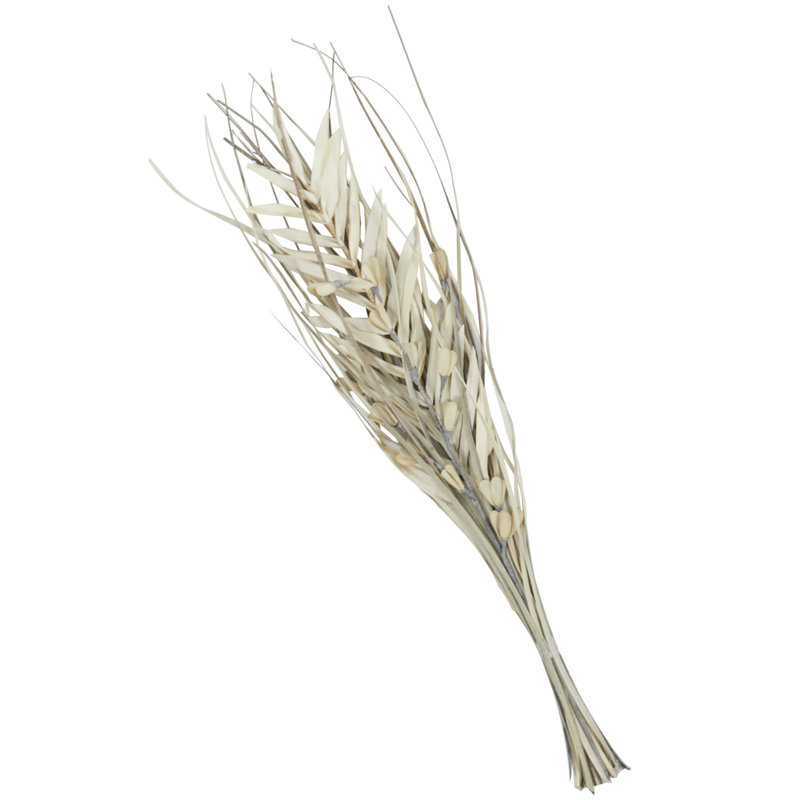 Isadore Landscape & Nature Vase Filler, 40" H x 10" W x 2" D, Beige