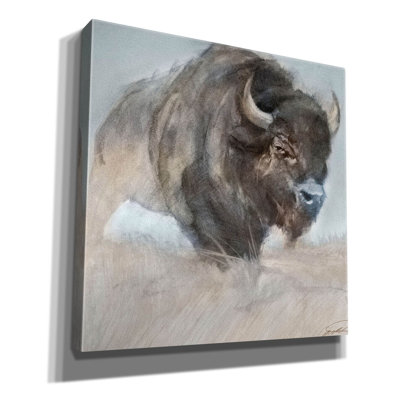 " Bison " by Robert Campbell