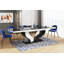 Dedrianna Extendable Dining Table