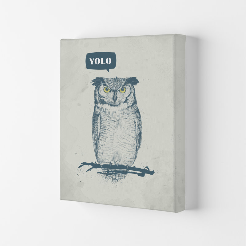 Yolo Owl by Mercedes Lopes Charro - Print, 59.4cm H x 42cm W x 4cm D, Wrapped Canvas