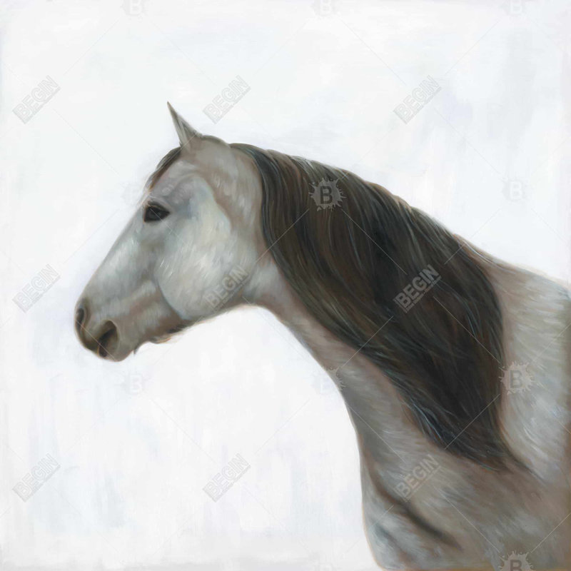 " Winter Horse "