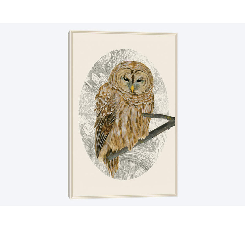 Barred Owl I par Melissa Wang - reproduction d'art sur toile tendue, H 26 po x l 18 po x P 1,5 po