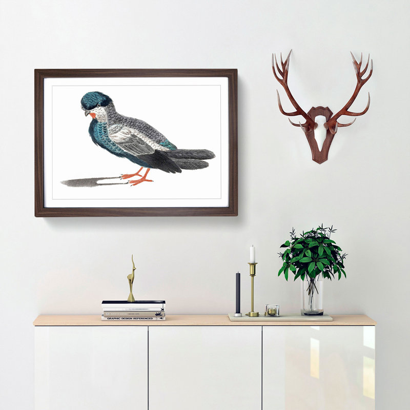 Pigeon by Johan Teyler - Picture Frame Painting Print, Walnut Framed, 62cm H x 87cm W x 2cm D