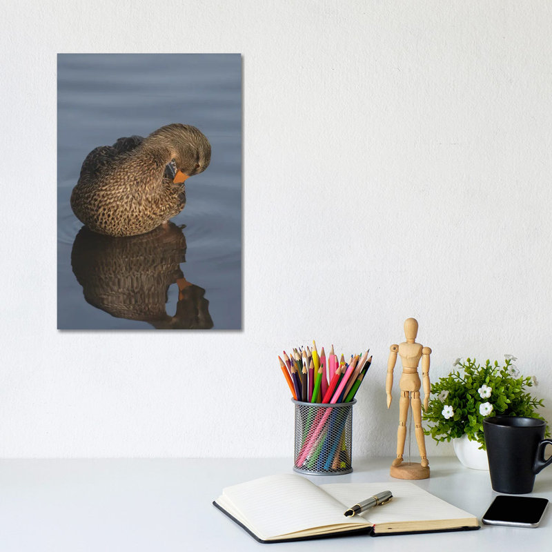 Art Of Preening by Louis Ruth - Wrapped Canvas Print, 20.32 cm H x 30.48 cm W