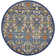 Whiteley Oriental Indoor Rug
