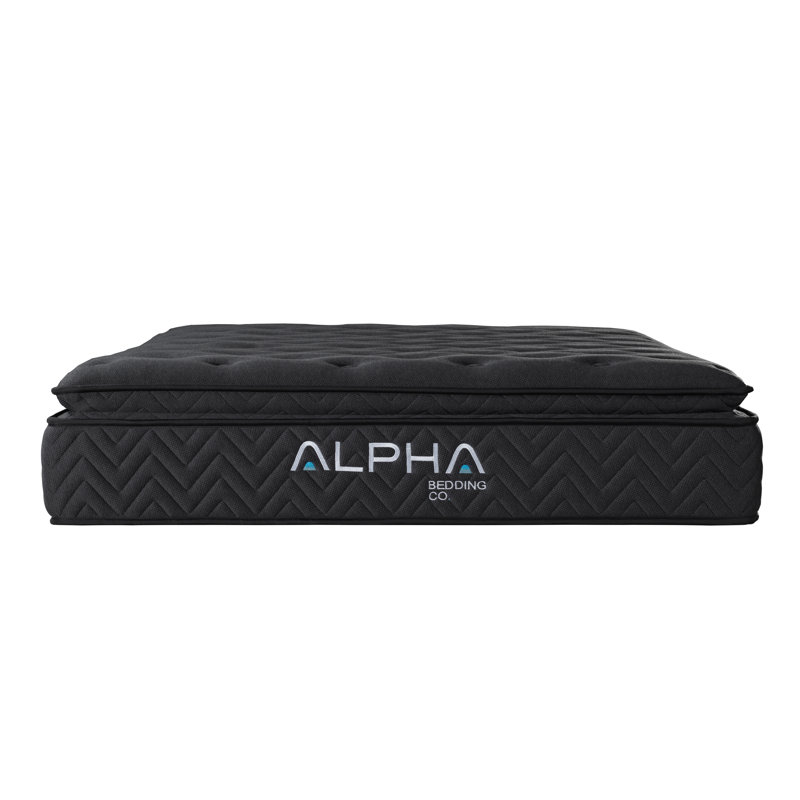 Dawsynn Black 12'' Hybrid Pillow Top Queen Mattress