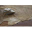 Tapis en cuir de vache clair Hageman