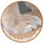 Pet Gear Stramp Stair and Ramp Combination for Dogs/Cats-6800763