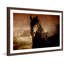 «Friesian Fire», reproduction encadrée-20656118
