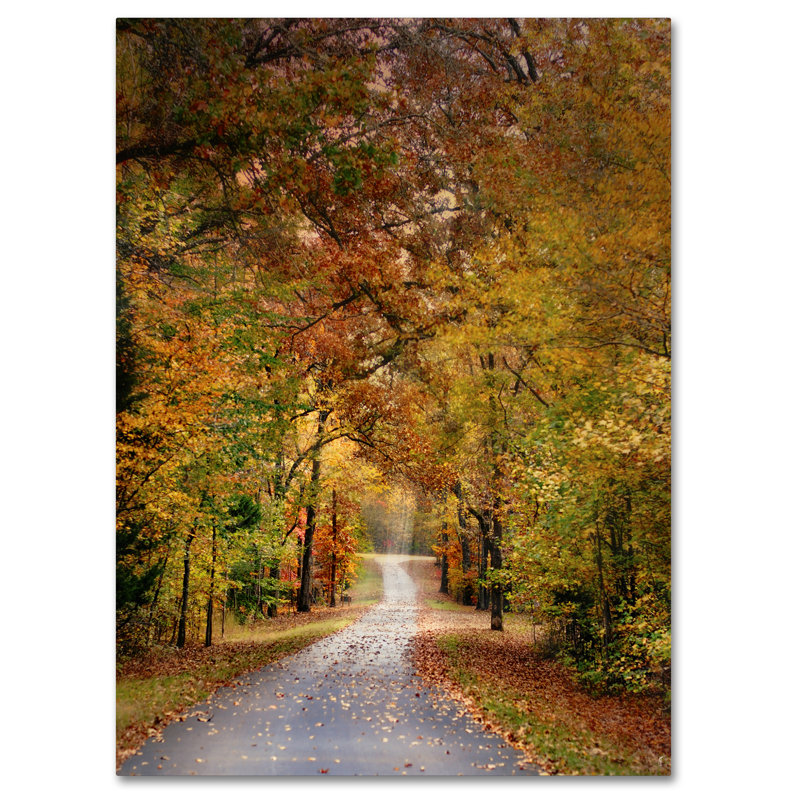 Vidur «Autumn Passage 4», reproduction de photo sur toile tendue, H 24 po x l 18 po