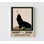 «Sea Lion Zoo», reproduction d'affiche rétro, encadré, décor de classe pour enfants sympas, œuvre d'art drôle d'animal, affiche de lion de mer rétro