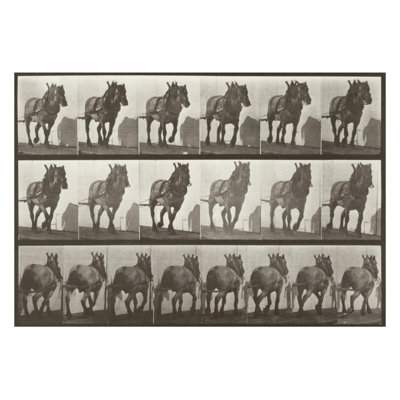 Horse Dusel hauling (Animal Locomotion 1887 plate 566) by Eadweard Muybridge - Giclee Print