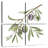 Harnek Fresh Olive Branch I-109116141