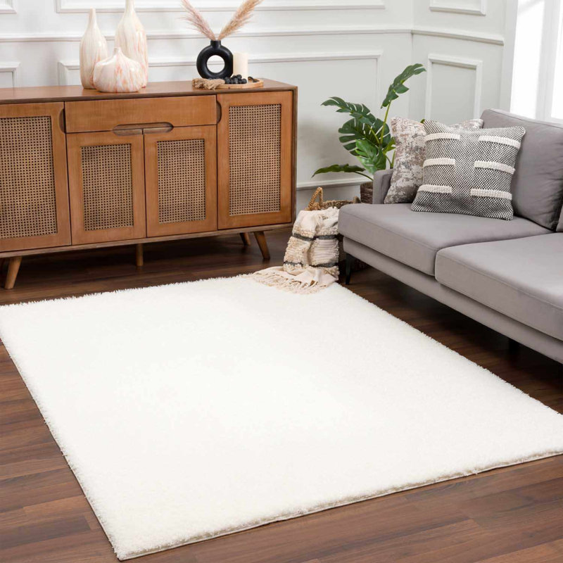 Tapis à poils longs Cleta, Rectangle 5 pi 3 po x 7 pi
