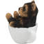 Statue tasse de thé Baltej Yorkie