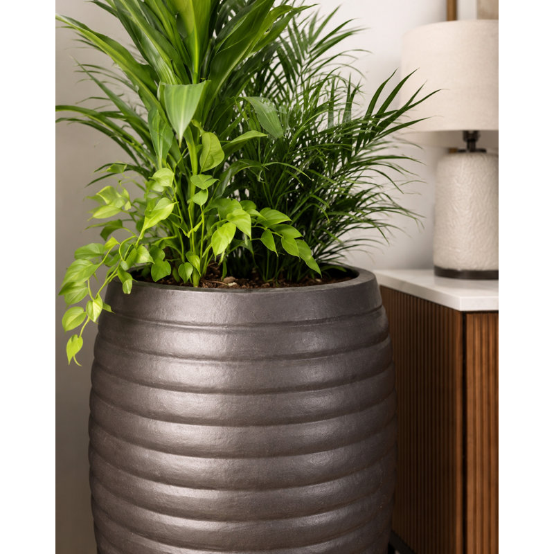 20 in. Calle Vase - Charcoal