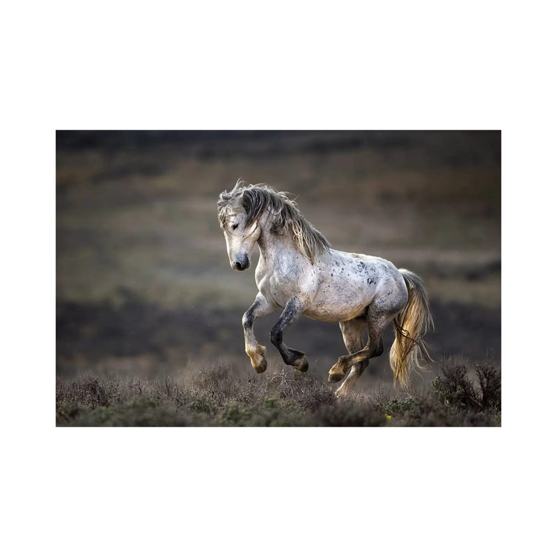 Wild Wild West by Verdon - Wrapped Canvas Gallery-Wrapped Canvas Giclée, 66.04 cm H x 45.72 cm W x 3.175 cm D