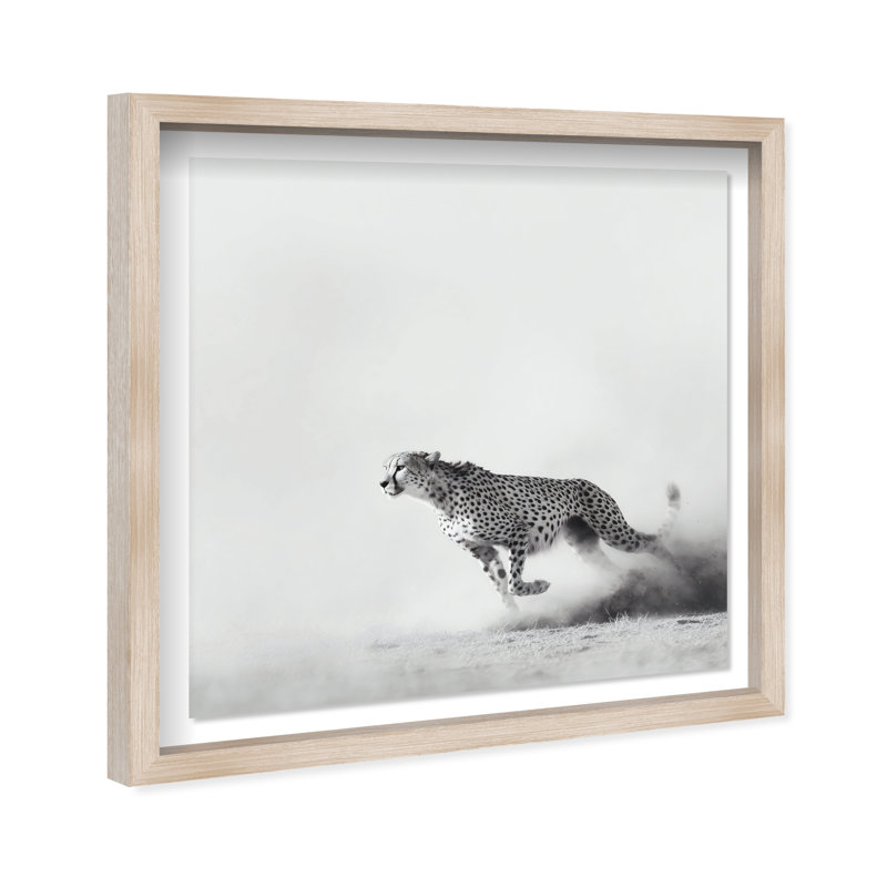 Cheetah Run Print by Oliver Gal, 17.5" H x 17.5" W, Natural Oak Shadowbox