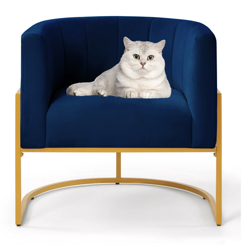 Joemichael Velvet Barrel Chair, Navy Blue Velvet