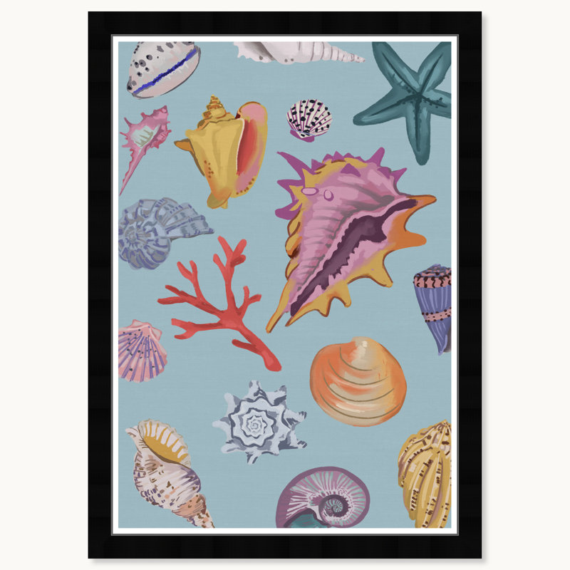 Collection Under Sea, Cadre noir