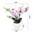 Orchid Arrangement in Pot