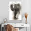 Éléphant d'Afrique Brampt Dusty-106963762