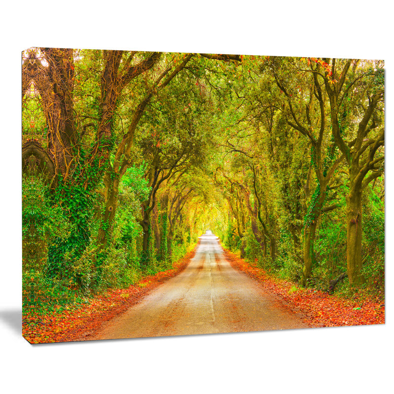 «Fall Greenery and Road Straight Ahead», impression, H 20 po x l 40 po x P 1po, Toile tendue