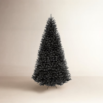 Black Spruce Tree