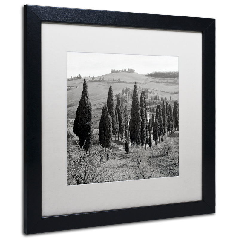 Alan Blaustein, «Tuscany IV», reproduction de photo encadrée, Blanc, H 16 po x l 16 po x P 0,5 po
