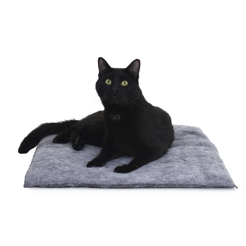 Charcoal Medium Plush Fiberfill Cat Pillow Set
