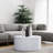 Geneieve Solid Wood Coffee Table-1693461358