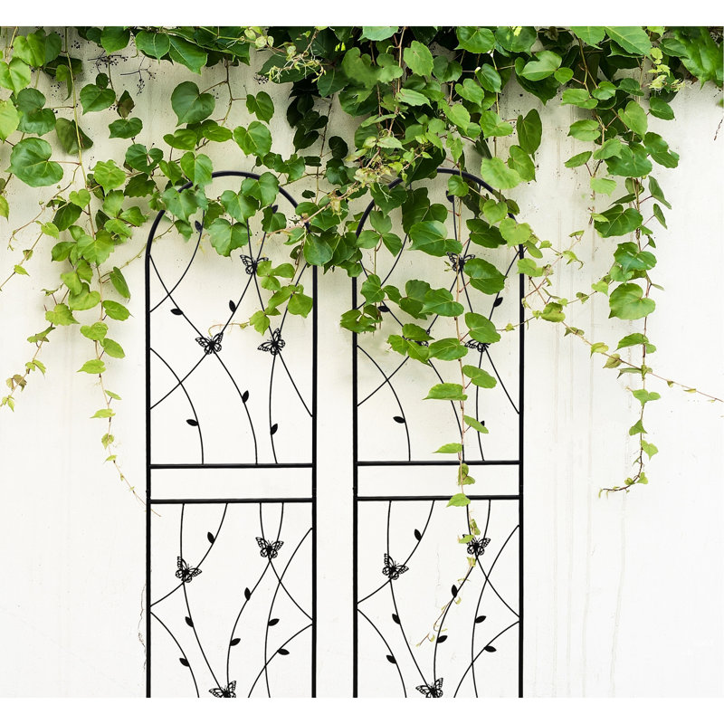 Treillis de jardin en métal 71 po x 19,7 po, paquet de 4, antirouille, noir, support de croissance pour plantes d'extérieur, facile à assembler 71 po x 19,7 po, pour support de fleurs, assemblage
