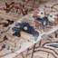 Oriental Indoor Rug-770223431