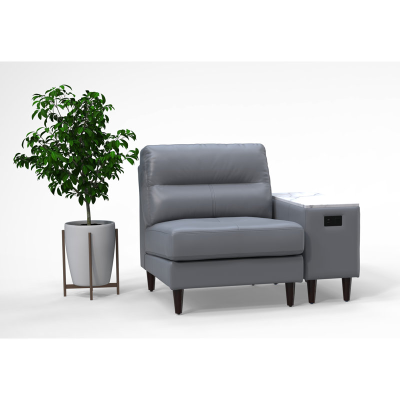 Ensemble de chaises de salle d'attente pour 1 personne 100% cuir véritable, ensemble 2 pièces, gris