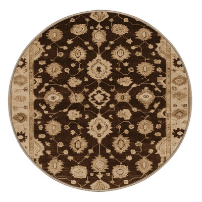 Machine Washable Overdyed Brown Area Rug