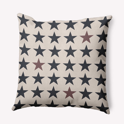 Polyester Throw Square Indoor/Outdoor Pillow Cover & Insert