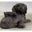 Figurine Lewis Labrador Retriever and Puppy