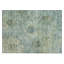 Tapis floral intérieur / extérieur lavable à la machine Leavittsburg ACN2235-203156650