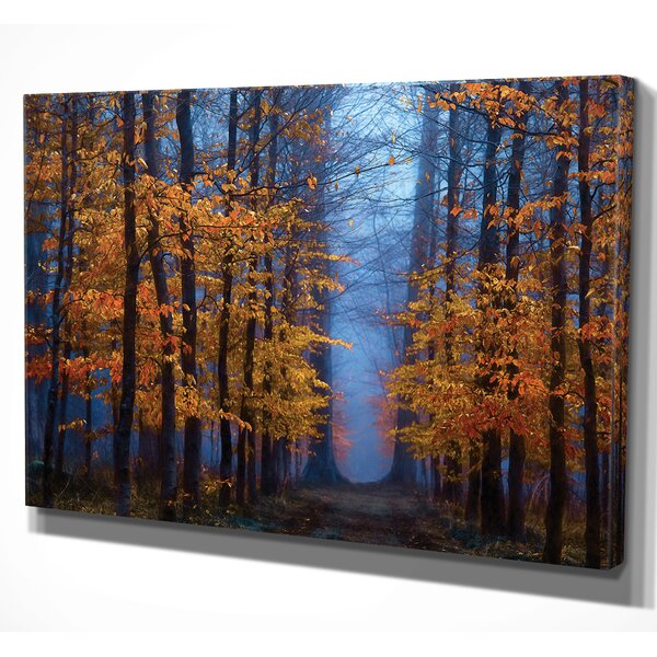 Loon Peak® The Path Of Midas Framed Print & Reviews | Wayfair