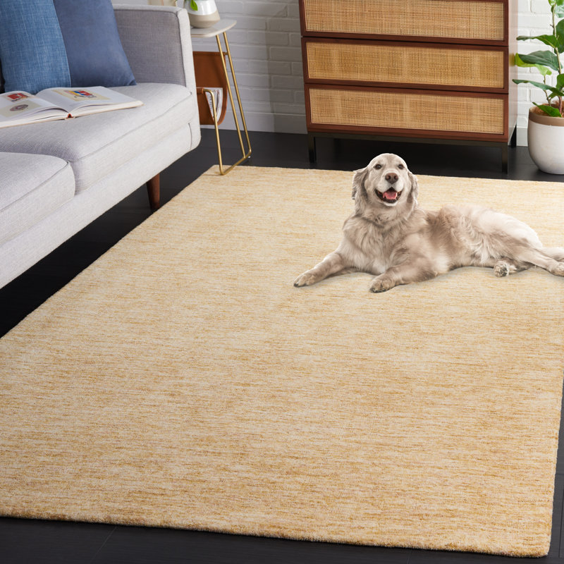Tapis en laine tissé à la main Himalaya, Rectangle 5 pi x 8 pi